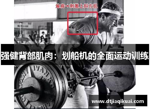 强健背部肌肉：划船机的全面运动训练