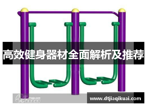 高效健身器材全面解析及推荐 高效健身器材全面解析及推荐